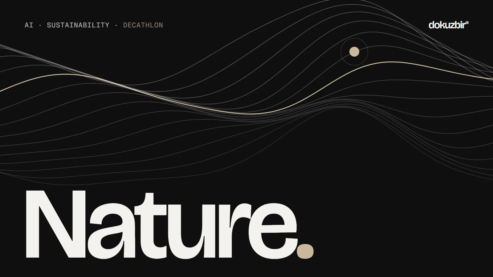 AI and sustainability — Dokuzbir cover image