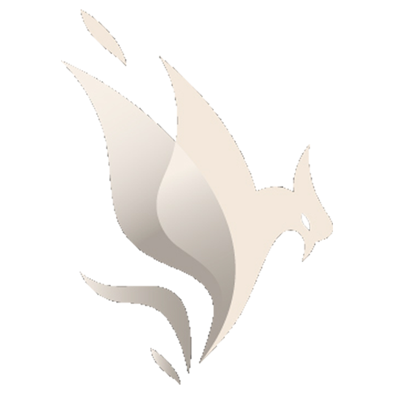 Dokuzbir Brand Maker