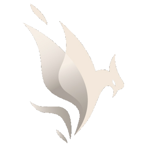 Dokuzbir Brand Maker